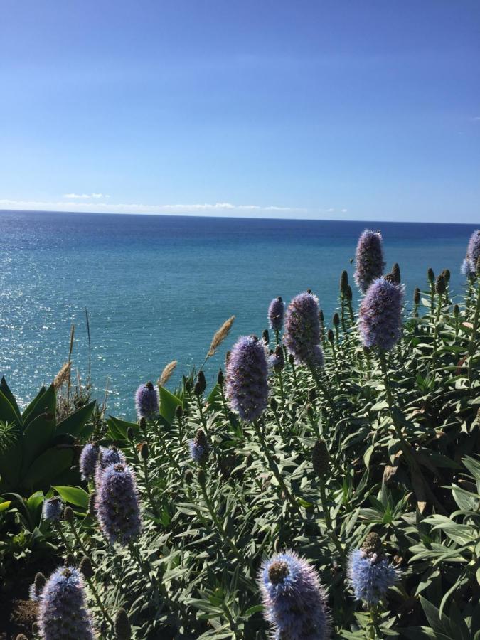Calheta Ocean View Family Apartment - Air Condition Estreito Da Calheta Exterior foto
